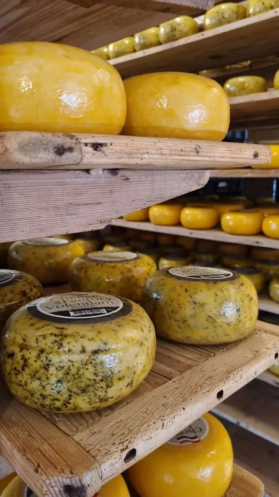 The Role of Time in Developing Unique Cheese Flavors