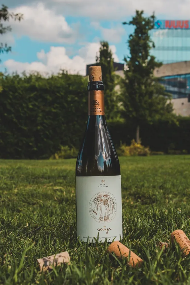 Napa Valley's Hidden Gems: Luxurious Private Vineyard Escapades